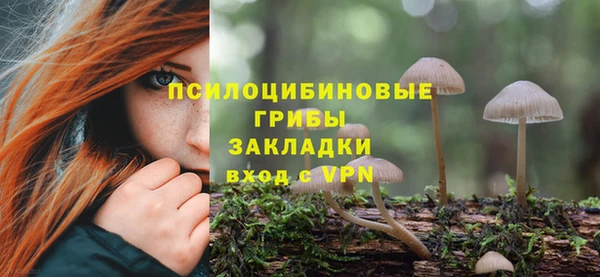 шишки Баксан