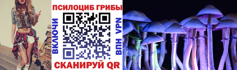 Псилоцибиновые грибы прущие грибы Рудня